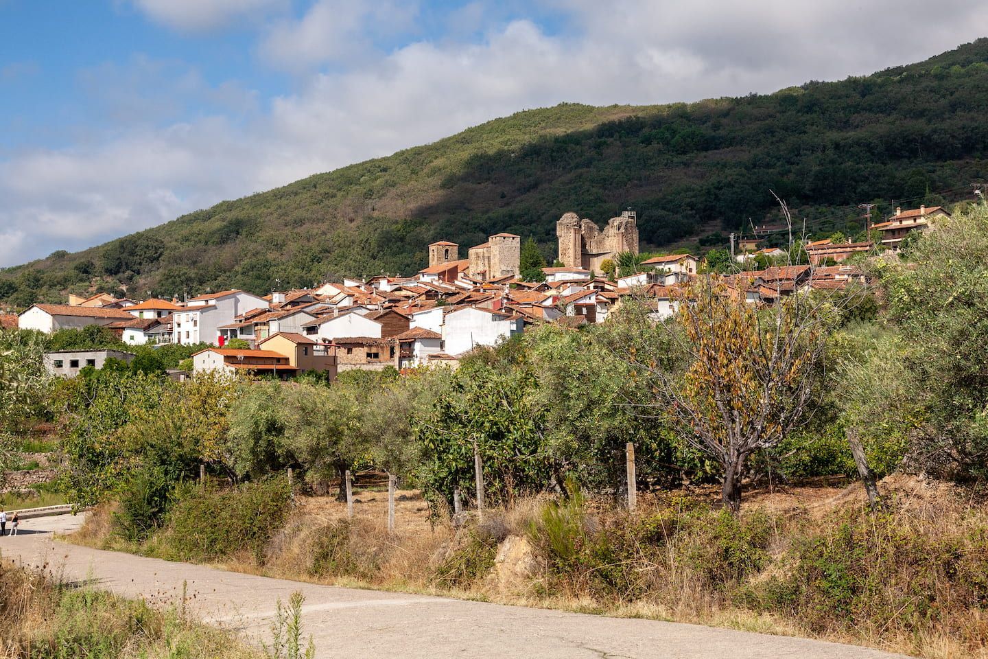casa_rural_juan_de_austria_la_vera1